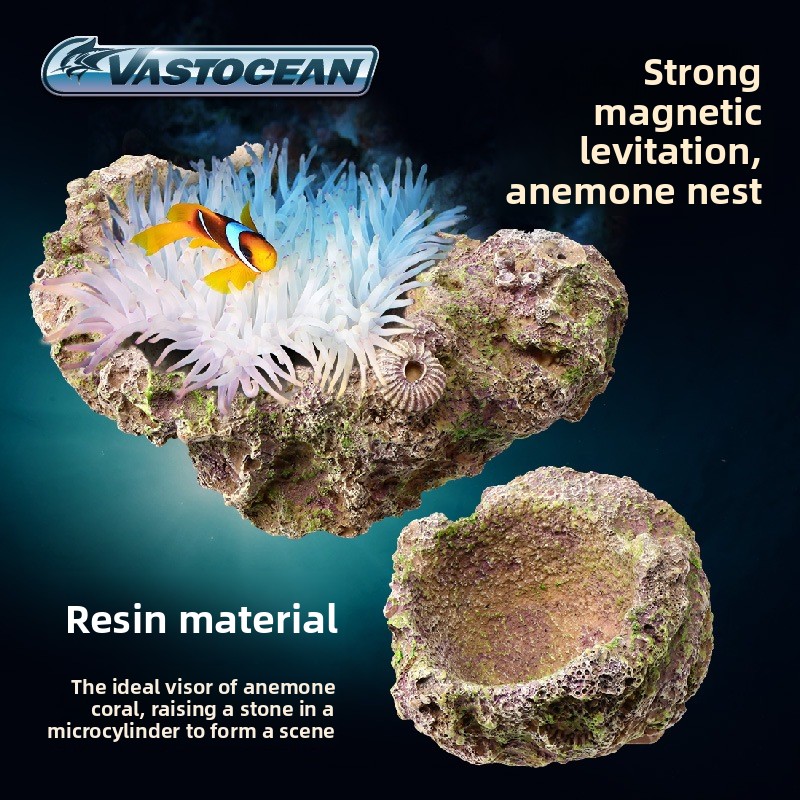 Coral Frag Plug - VASTOCEAN Soporte magnético para anémona, nido