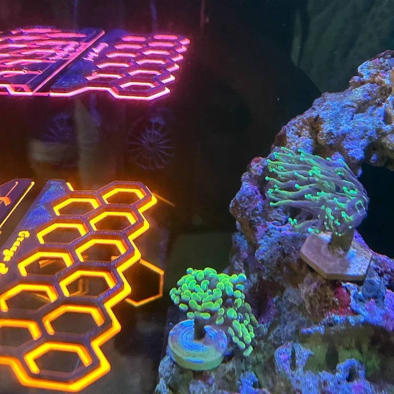 Soporte Magnético Fluorescente - Coral Frag Plug reseña y precio