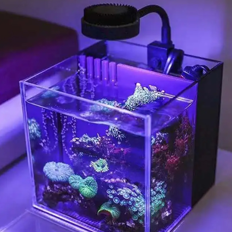 Zetlight-Luz Led M1 1050, espe - Marine Aquarium Reef reseña y precio