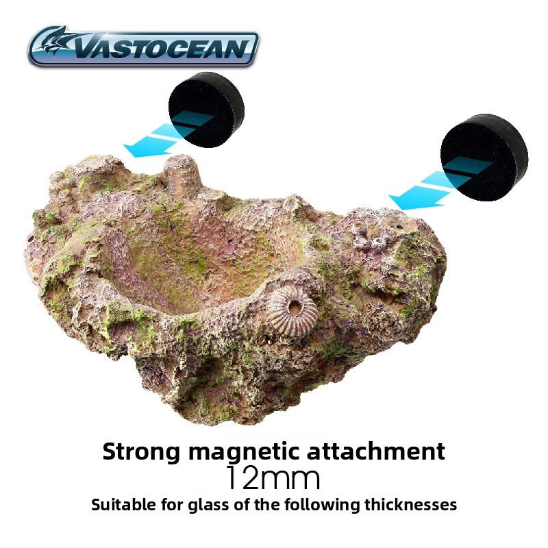 VASTOCEAN Soporte magnético pa - Coral Frag Plug reseña y precio