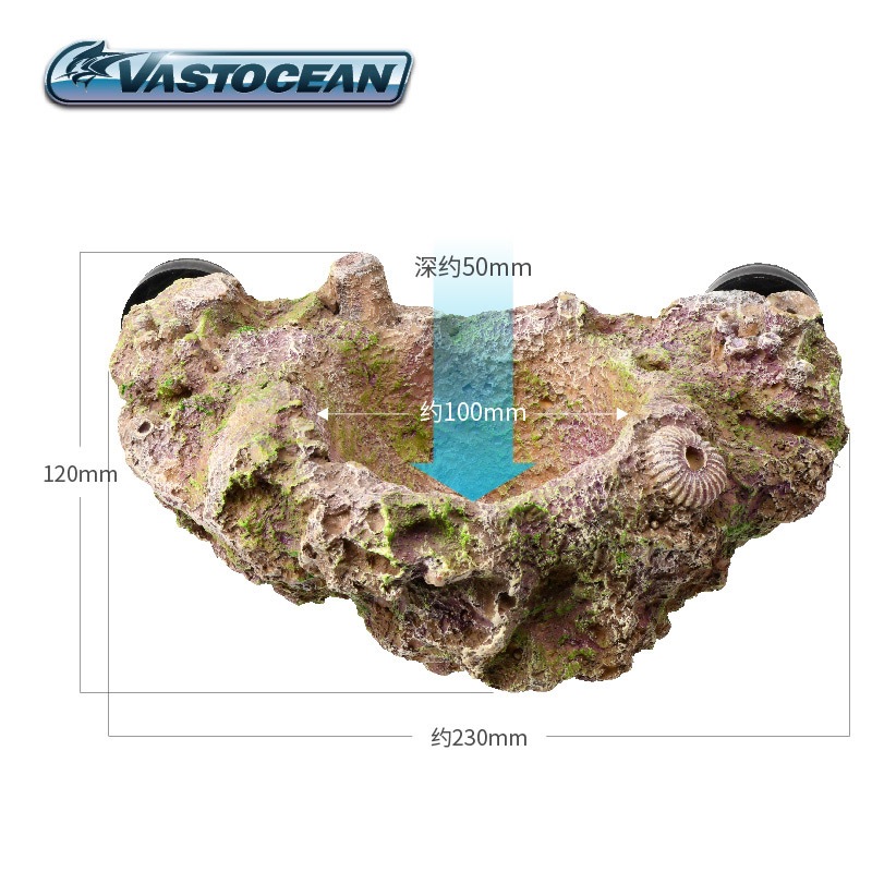 VASTOCEAN Soporte magnético pa - Coral Frag Plug reseña y precio