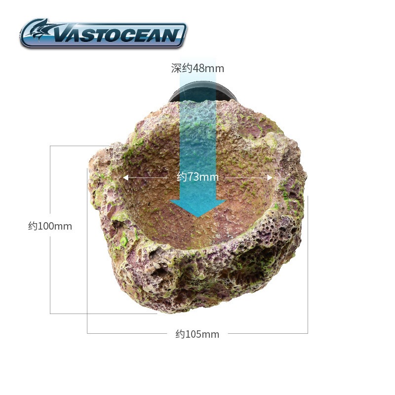 VASTOCEAN Soporte magnético pa - Coral Frag Plug reseña y precio