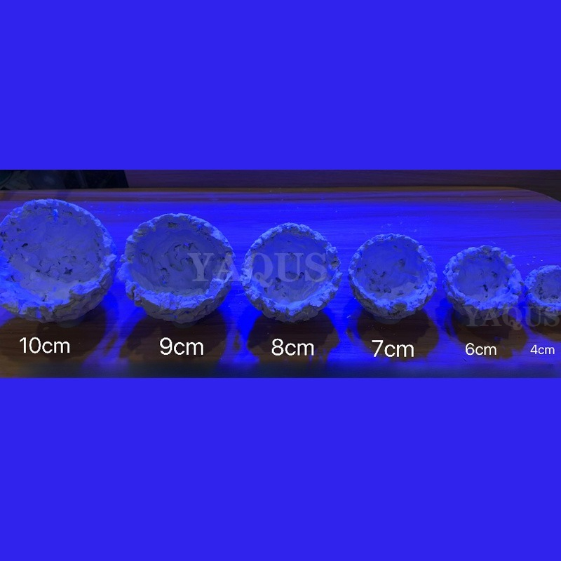 Nuevo DIY, nido de girasol mag - Coral Frag Plug reseña y precio
