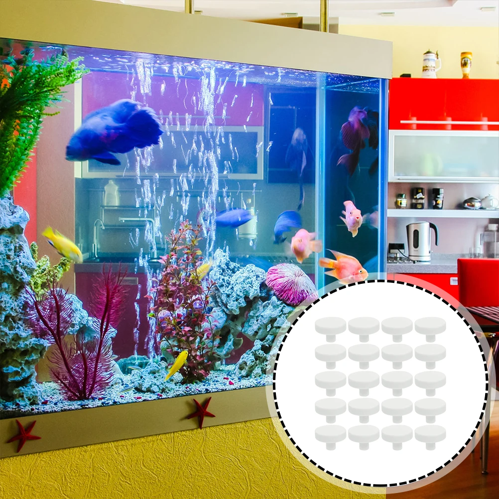 20 piezas pegamento de Coral,  - Coral Frag Plug reseña y precio