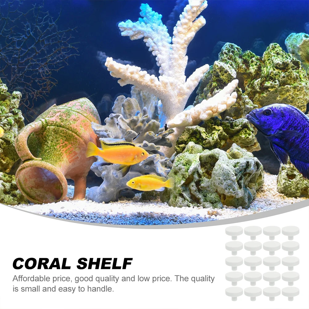 20 piezas pegamento de Coral,  - Coral Frag Plug reseña y precio