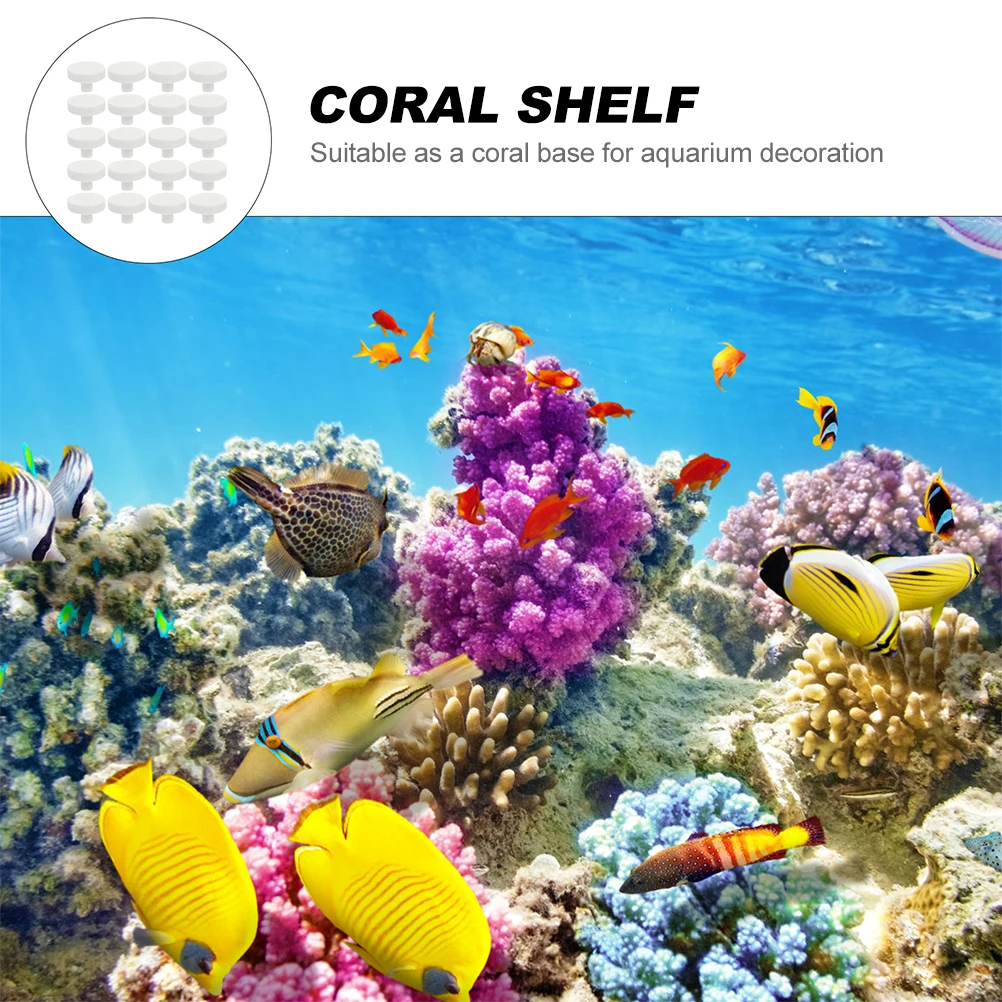 20 piezas pegamento de Coral,  - Coral Frag Plug reseña y precio