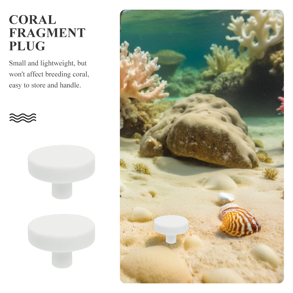 20 piezas de soportes para cor - Coral Frag Plug reseña y precio