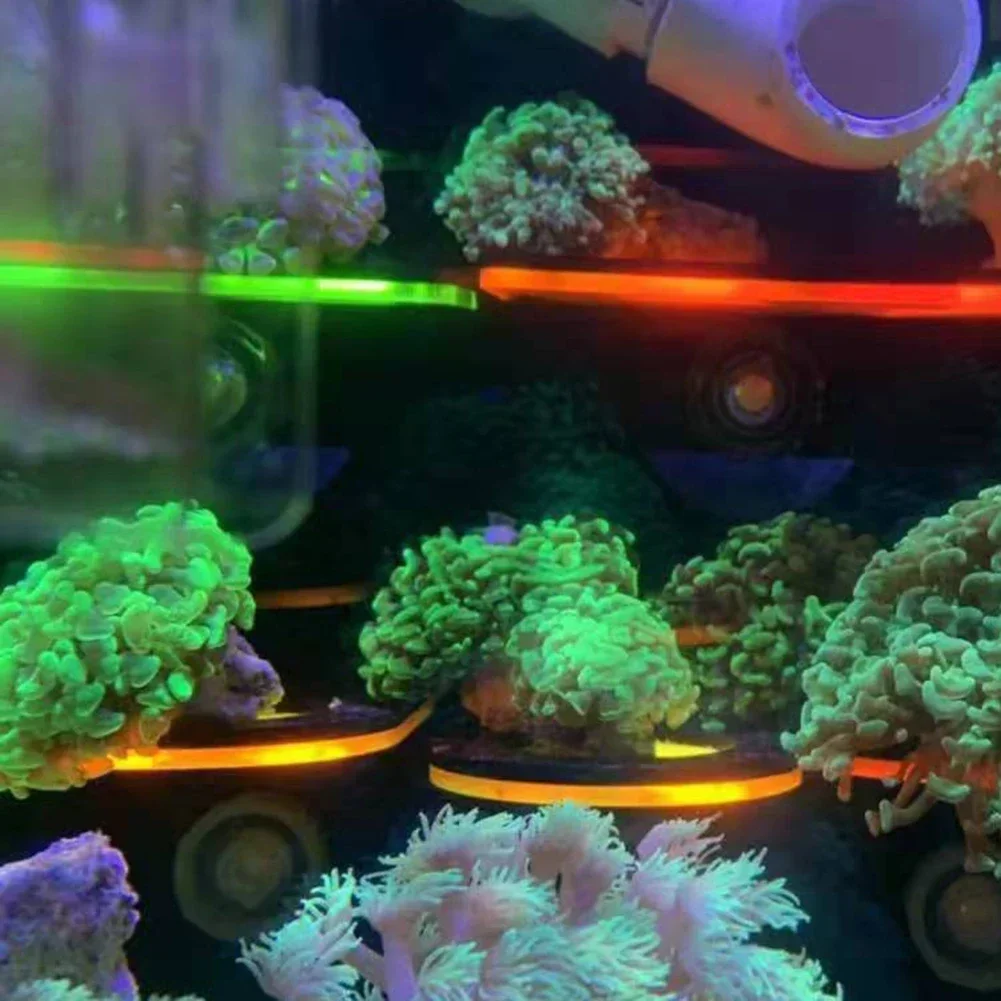 Soporte de Coral fluorescente  - Marine Aquarium Reef reseña y precio
