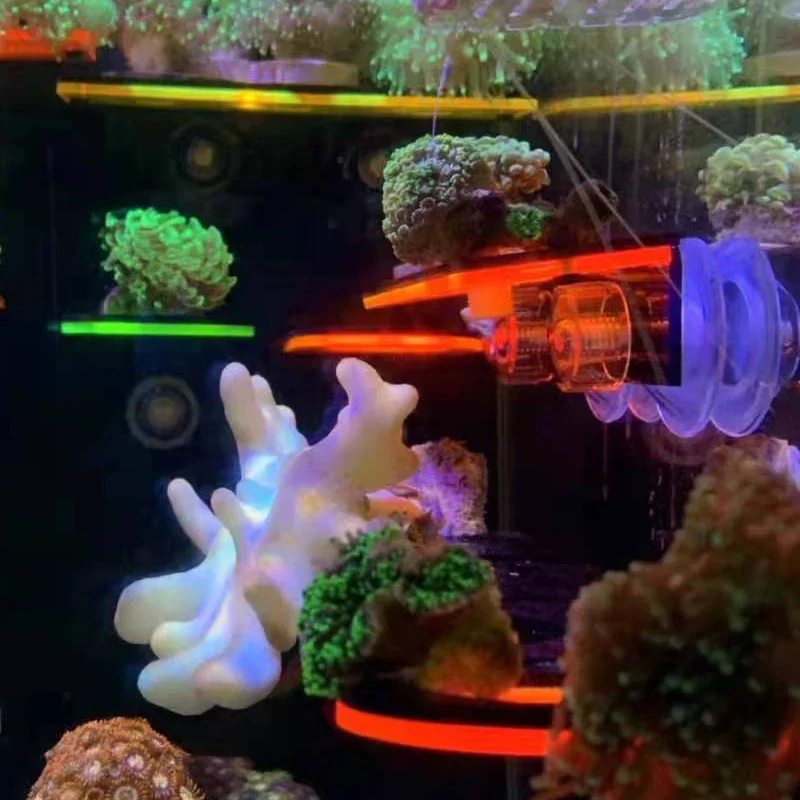 Soporte de Coral fluorescente  - Marine Aquarium Reef reseña y precio