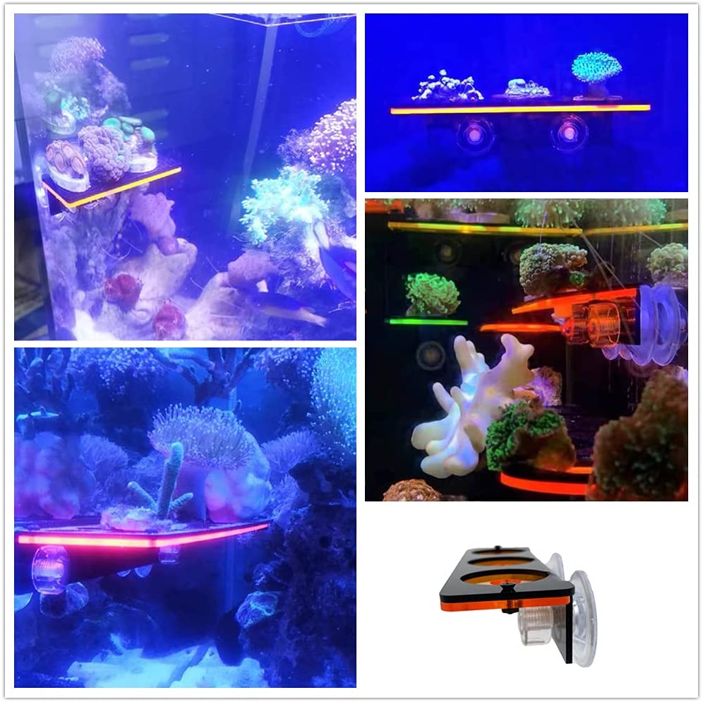 Soporte de enchufe de Coral fl - Coral Frag Plug reseña y precio